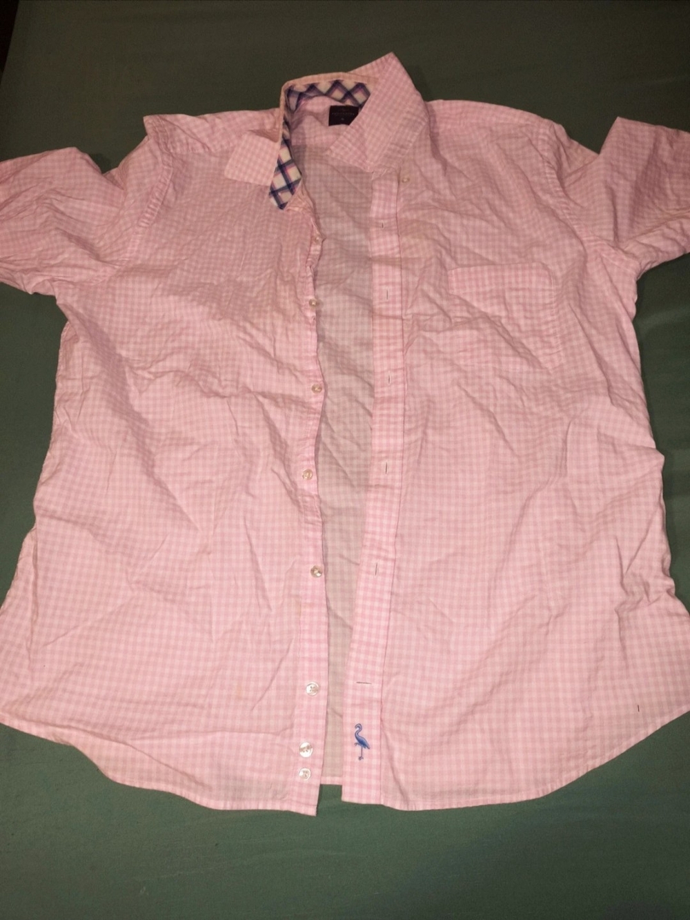 Tailorbyrd Pink Checked Short-Sleeve Button-Down Shirt